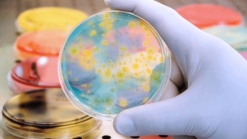 生物科技公司报价单，你读懂了吗？**