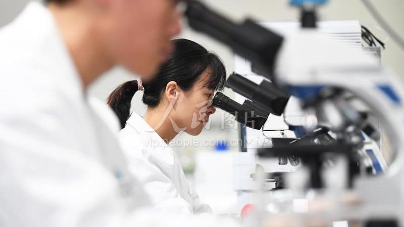 引物合成长度如何影响GC含量？揭秘引物合成关键因素