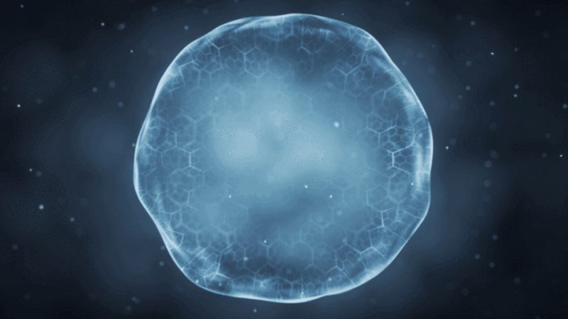 面膜新秀：可复美生物科技面膜的优缺点解析**