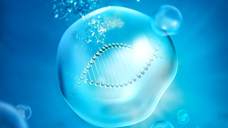 酶制剂代理加盟：技术培训，开启生物科技新篇章**