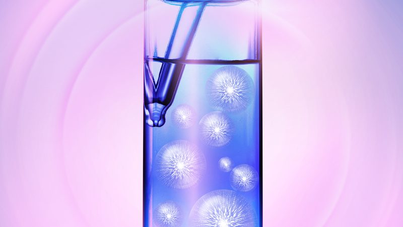 原代细胞培养：揭秘生物科技研究的关键步骤**
