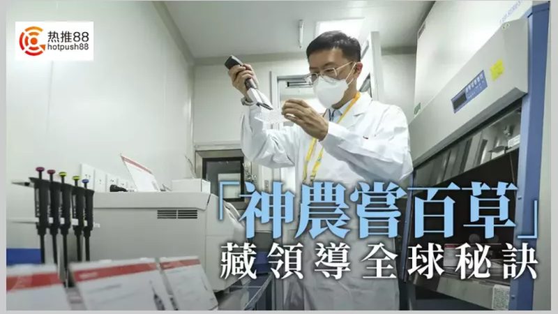 小鼠原代细胞培养：从细胞到药物研发的关键步骤**