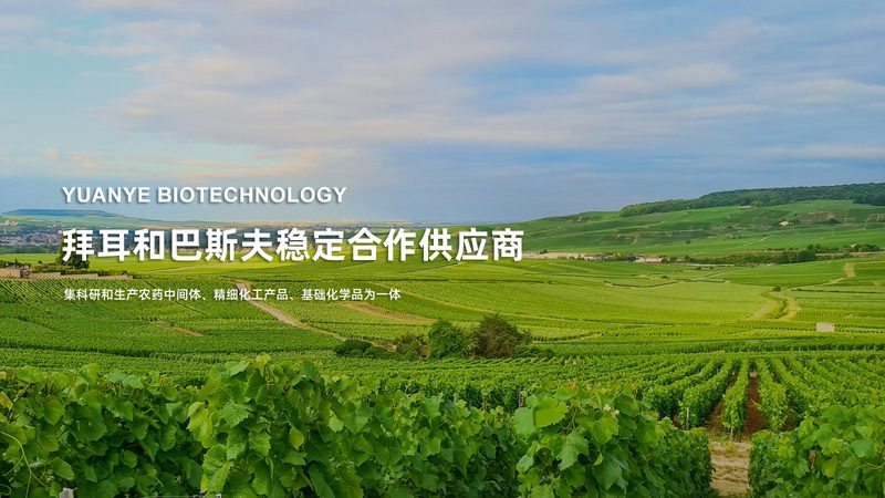医药废水处理设备：如何选择合适的厂家与设备**