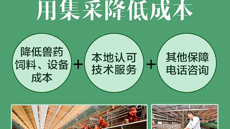 肿瘤基因检测套餐：揭秘其背后的技术奥秘**