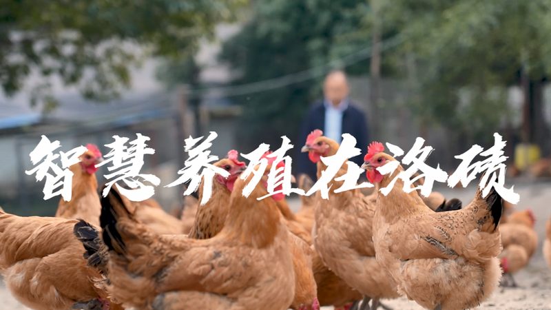 PCR试剂盒型号有哪些